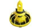 Кормушки